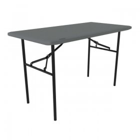 Lifetime 4 Foot Rectangle Folding Table, Indoor/Outdoor Essential, Gray (80694)